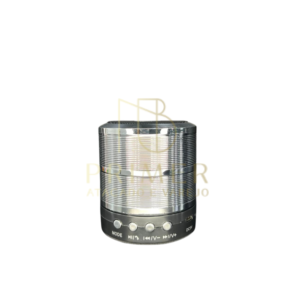 MINI CAIXA DE SOM WS887